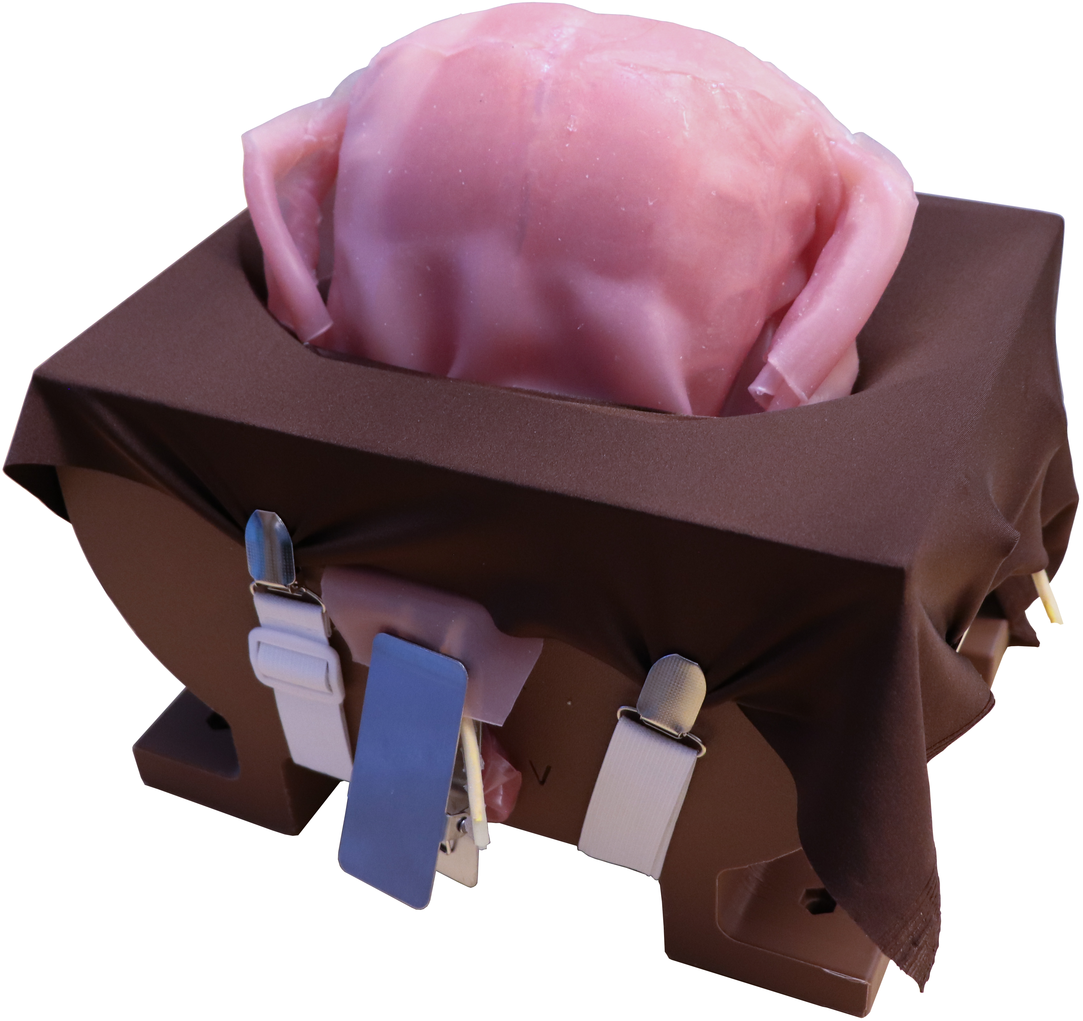 model-image